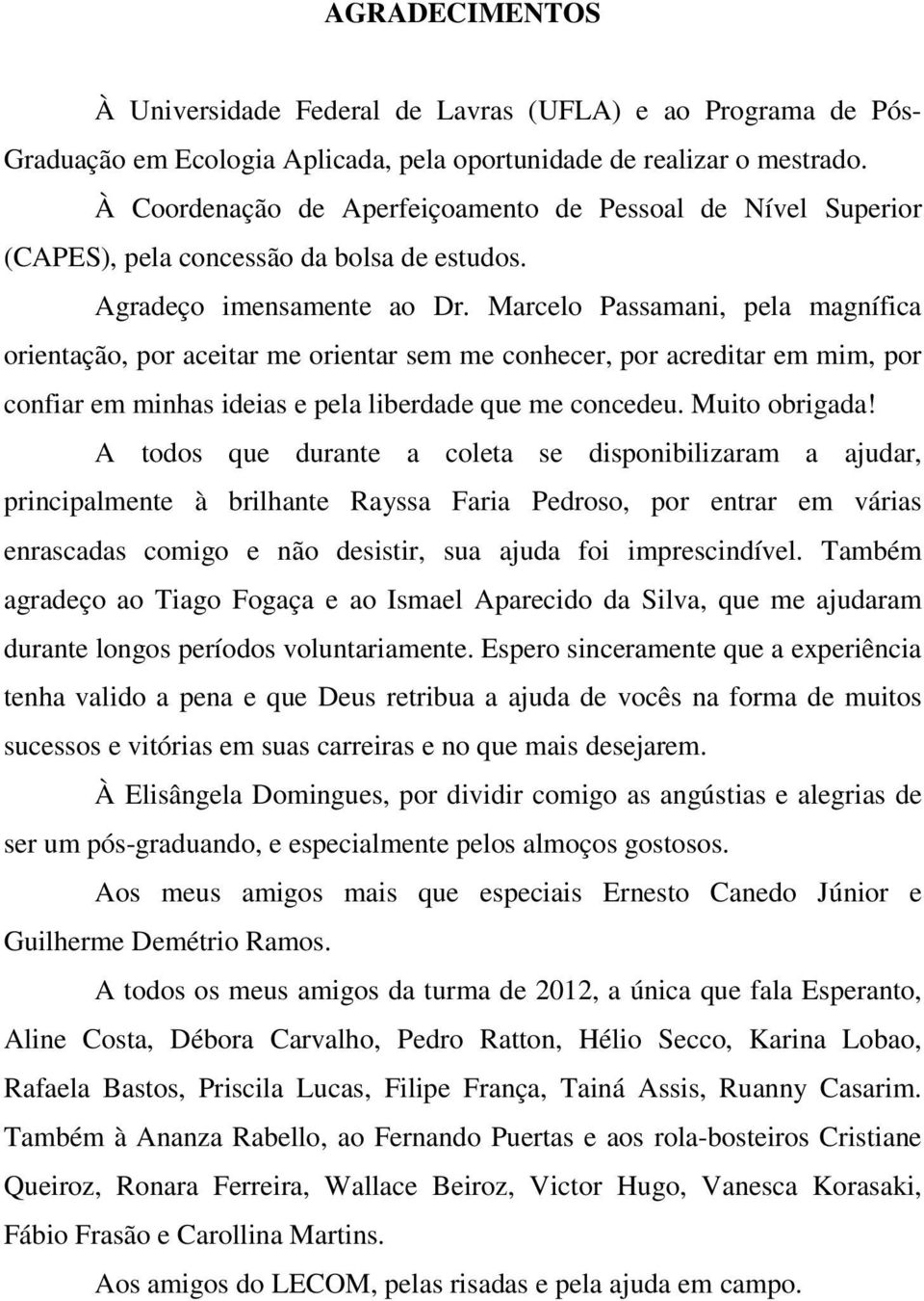 Marcelo Passamani, pela magnífica orientação, por aceitar me orientar sem me conhecer, por acreditar em mim, por confiar em minhas ideias e pela liberdade que me concedeu. Muito obrigada!