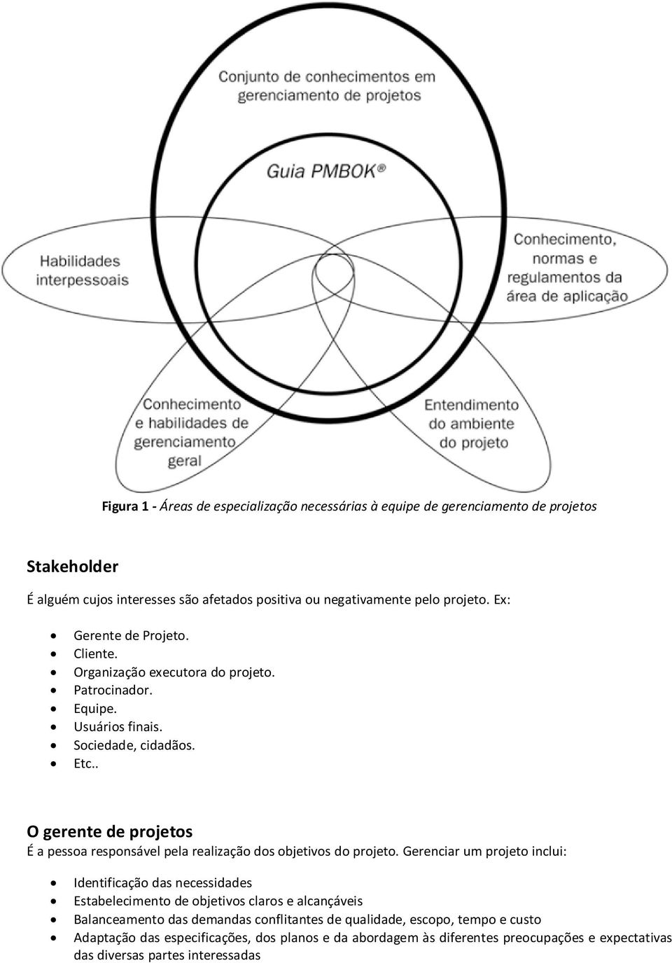 . O gerente de projetos É a pessoa responsável pela realização dos objetivos do projeto.