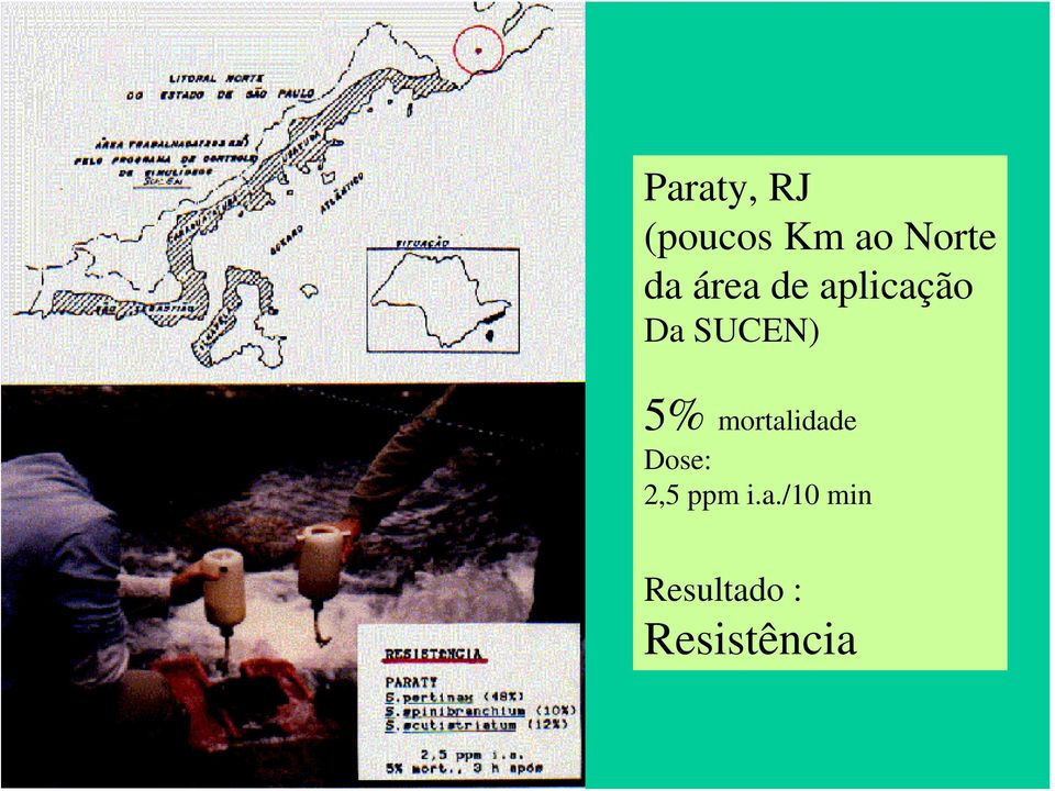 5% mortalidade Dose: 2,5 ppm i.