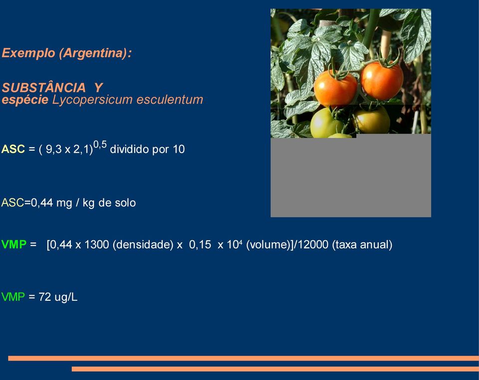 ASC=0,44 mg / kg de solo VMP = [0,44 x 1300