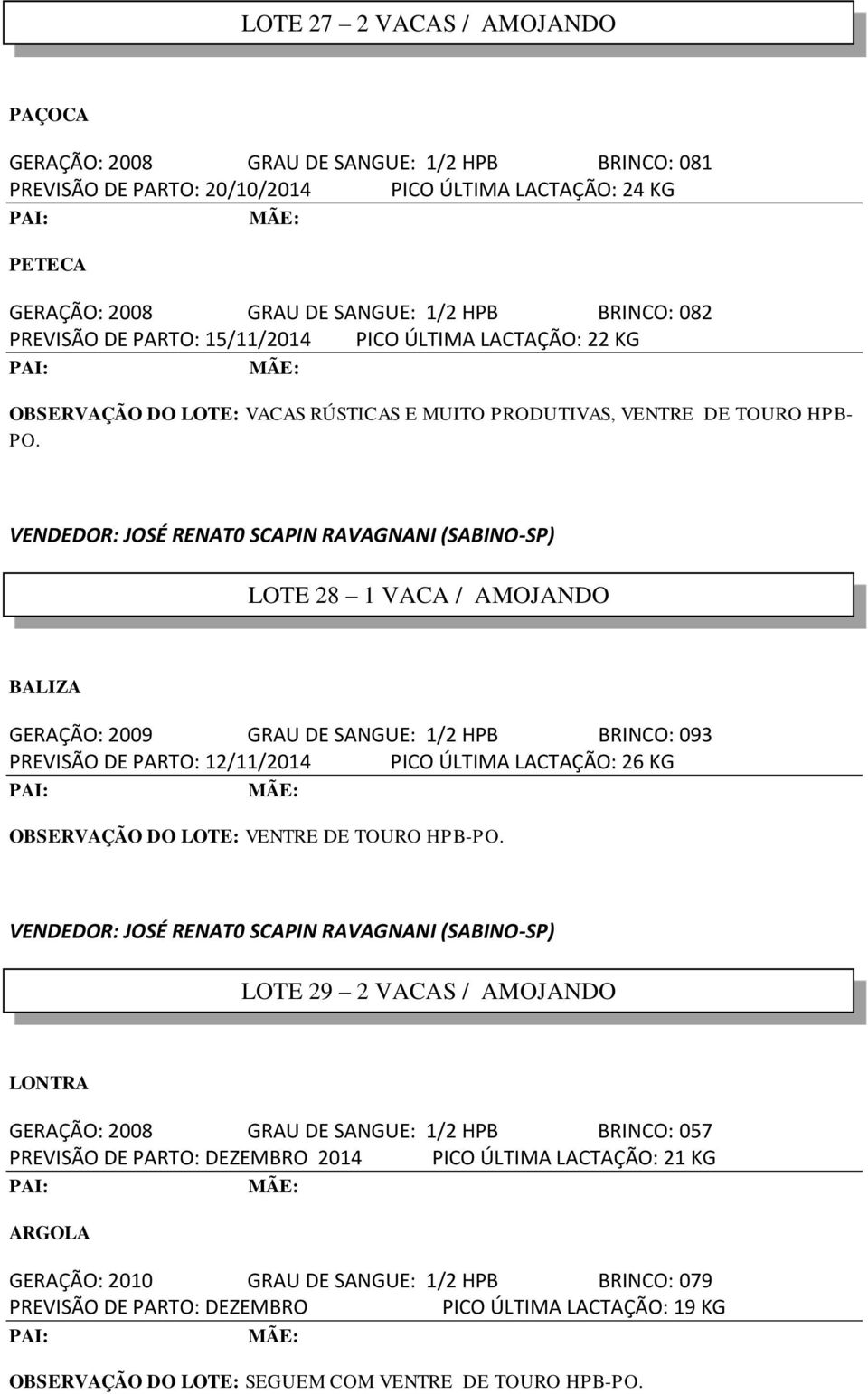 VENDEDOR: JOSÉ RENAT0 SCAPIN RAVAGNANI (SABINO-SP) LOTE 28 1 VACA / AMOJANDO BALIZA GERAÇÃO: 2009 GRAU DE SANGUE: 1/2 HPB BRINCO: 093 PREVISÃO DE PARTO: 12/11/2014 PICO ÚLTIMA LACTAÇÃO: 26 KG