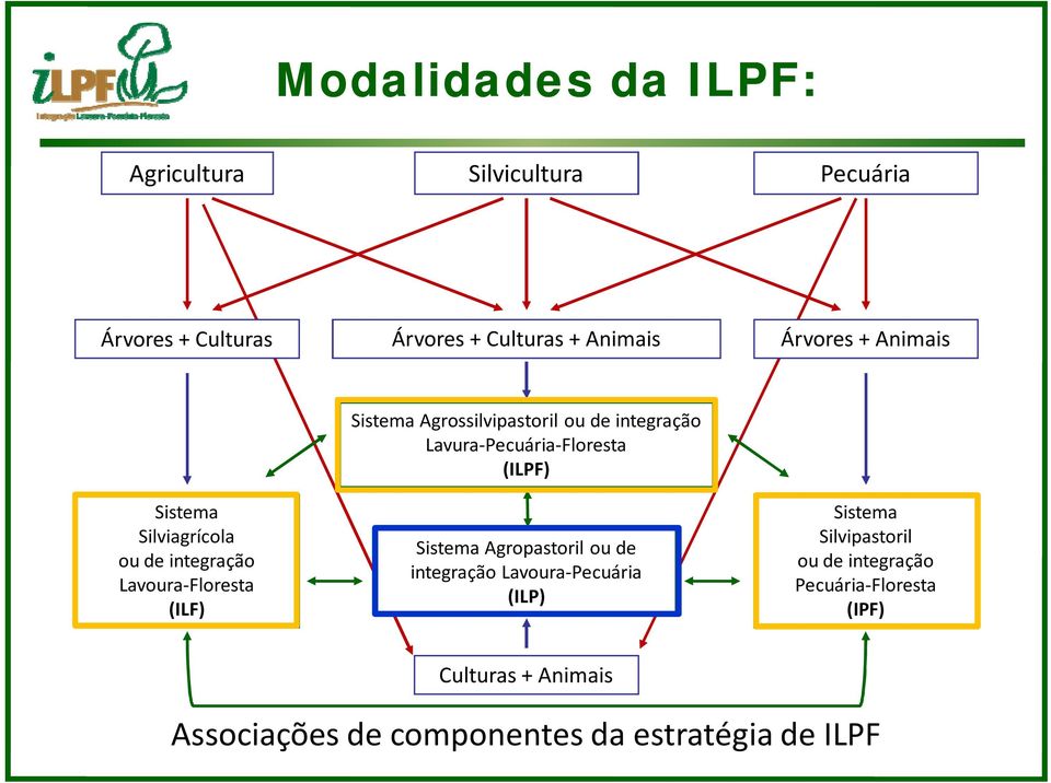 integração Lavura Pecuária Floresta (ILPF) Sistema Agropastoril ou de integração Lavoura Pecuária (ILP) Sistema