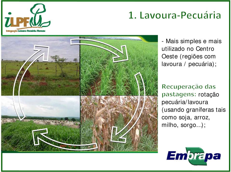 rotação pecuária/lavoura (usando