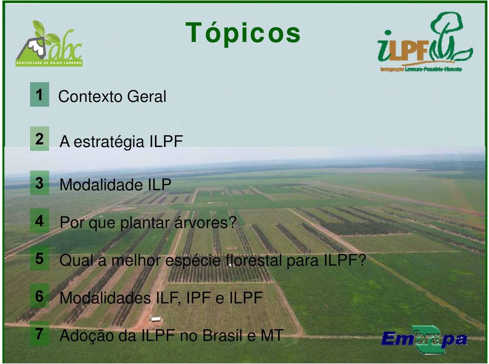 5 Qual a melhor espécie florestal para ILPF?