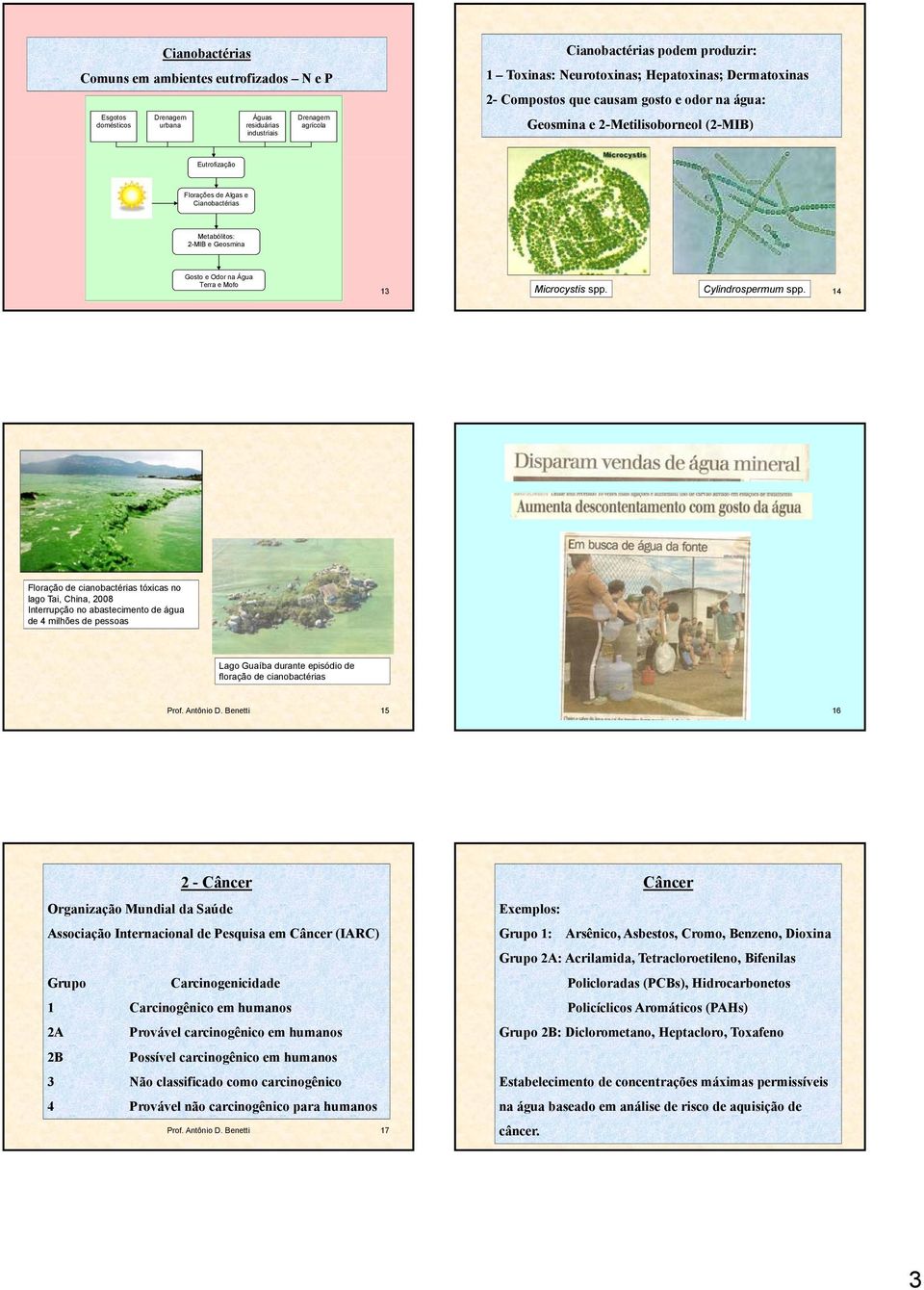 Odor na Água Terra e Mofo Prof. Antônio D. Benetti 13 Microcystis spp. Cylindrospermum spp.