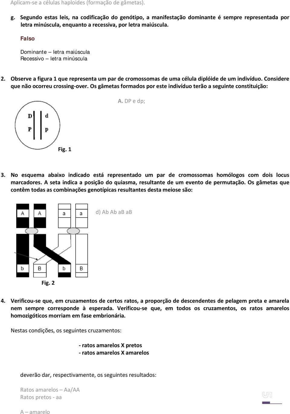 Falso Dominante letra maiúscula Recessivo letra minúscula 2. Observe a figura 1 que representa um par de cromossomas de uma célula diplóide de um indivíduo. Considere que não ocorreu crossing over.