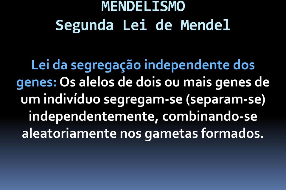 genes de um indivíduo segregam-se (separam-se)