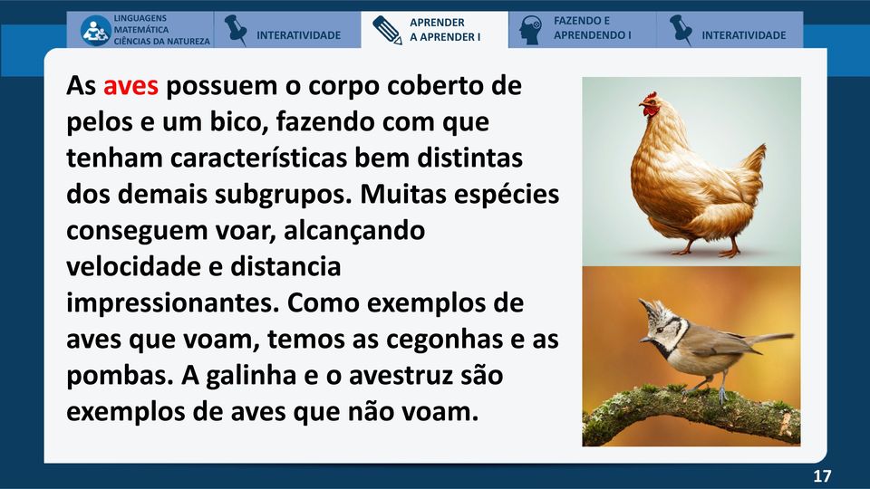 Muitas espécies conseguem voar, alcançando velocidade e distancia impressionantes.