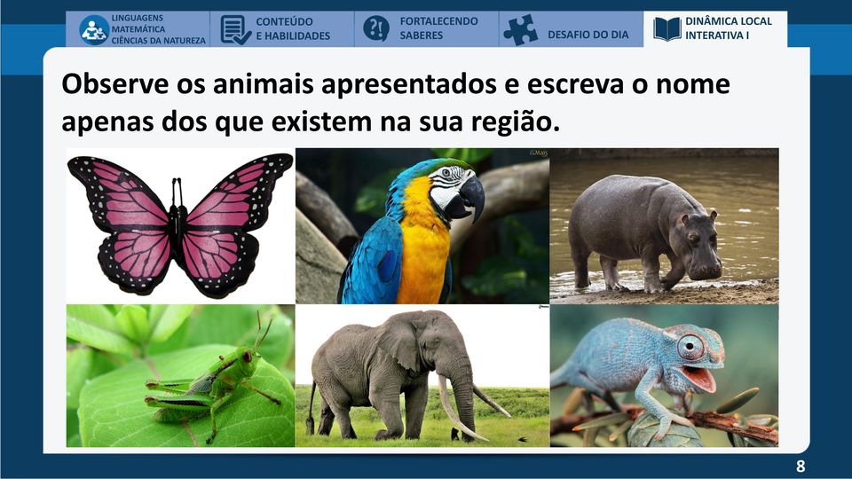 Observe os animais apresentados e escreva o