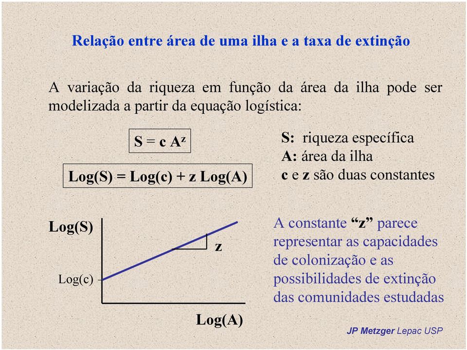 riqueza específica A: área da ilha c e z são duas constantes Log(S) Log(c) z Log(A) A constante z