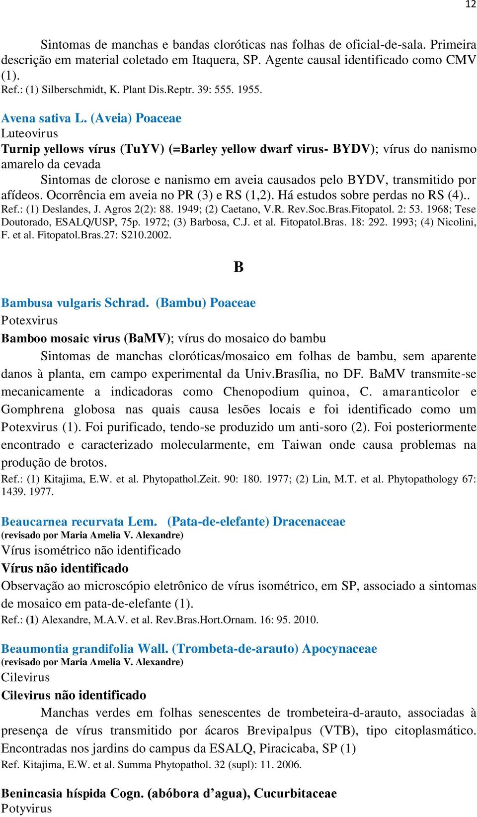 (Aveia) Poaceae Luteovirus Turnip yellows vírus (TuYV) (=Barley yellow dwarf virus- BYDV); vírus do nanismo amarelo da cevada Sintomas de clorose e nanismo em aveia causados pelo BYDV, transmitido