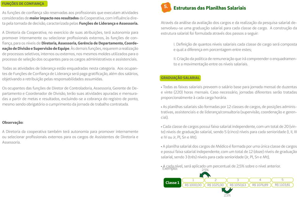 A Diretoria da Cooperativa, no exercício de suas atribuições, terá autonomia para promover internamente ou selecionar profissionais externos, às funções de confiança, para os níveis de Diretoria,