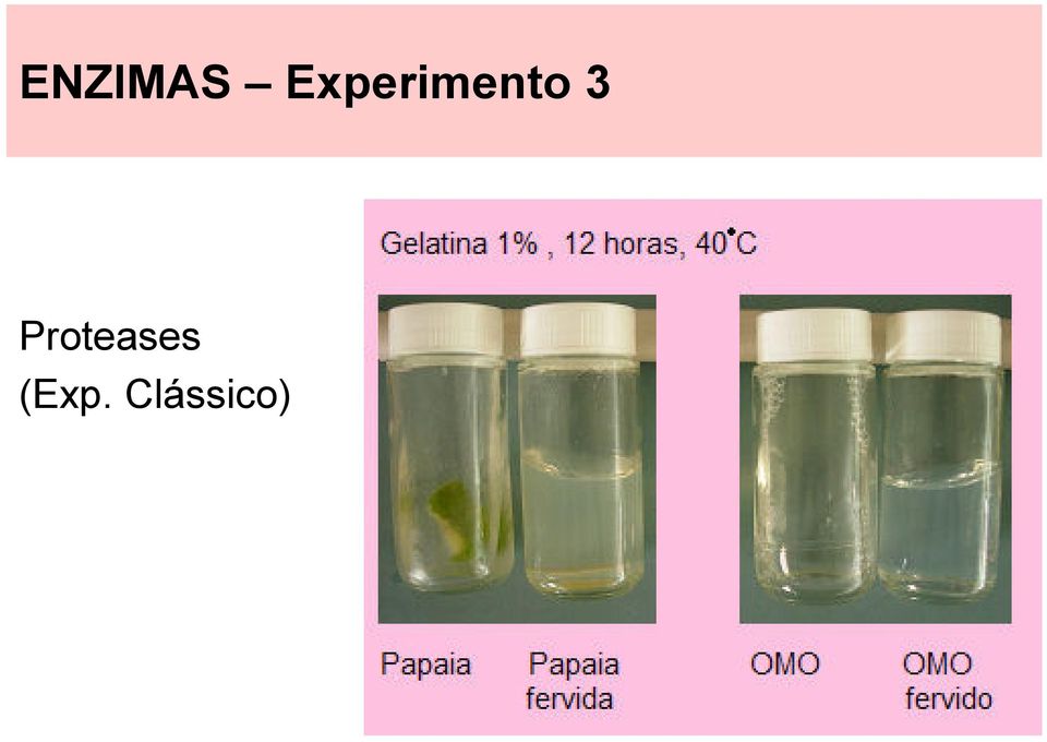 3 Proteases