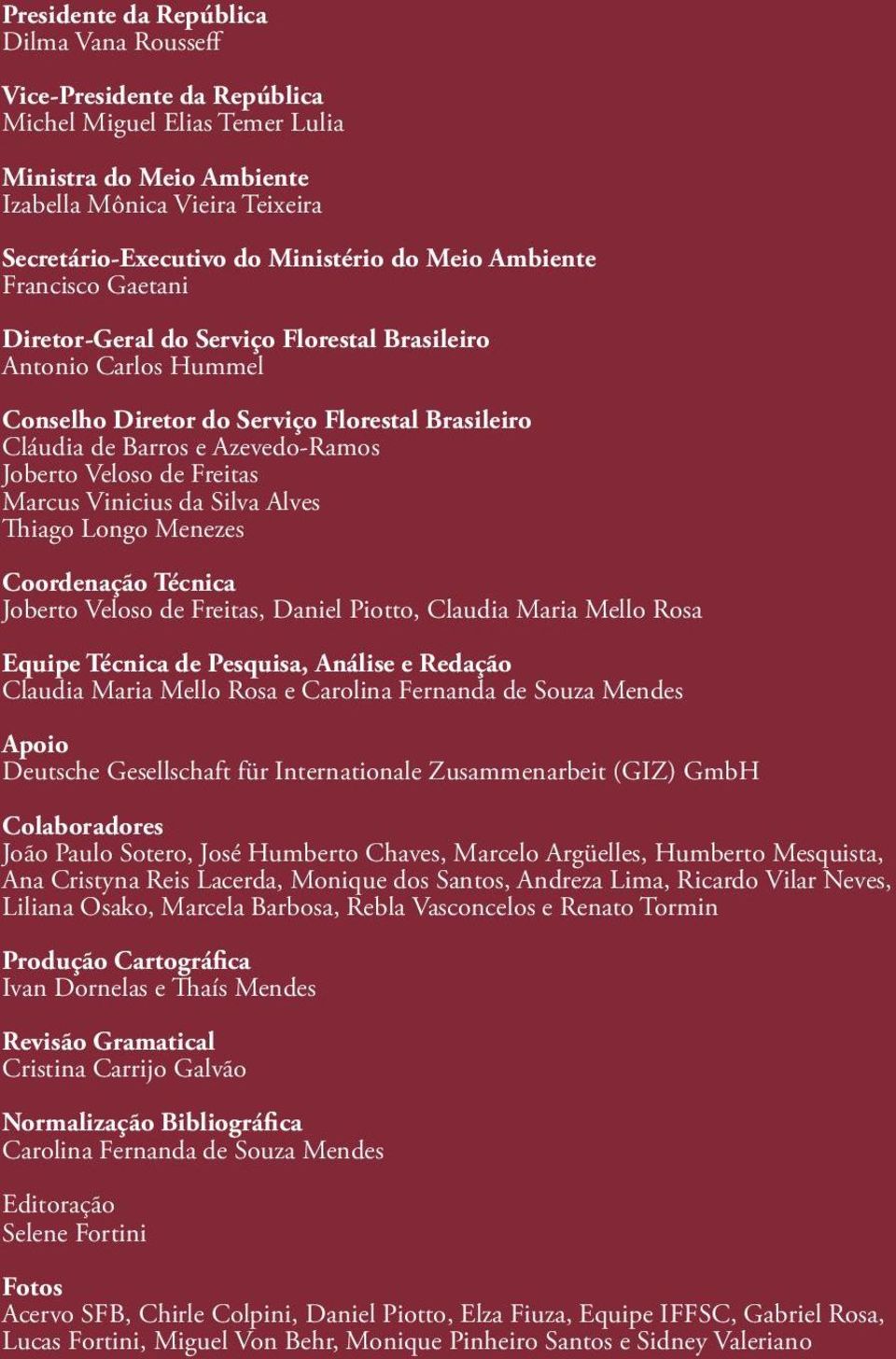 Veloso de Freitas Marcus Vinicius da Silva Alves Thiago Longo Menezes Coordenação Técnica Joberto Veloso de Freitas, Daniel Piotto, Claudia Maria Mello Rosa Equipe Técnica de Pesquisa, Análise e