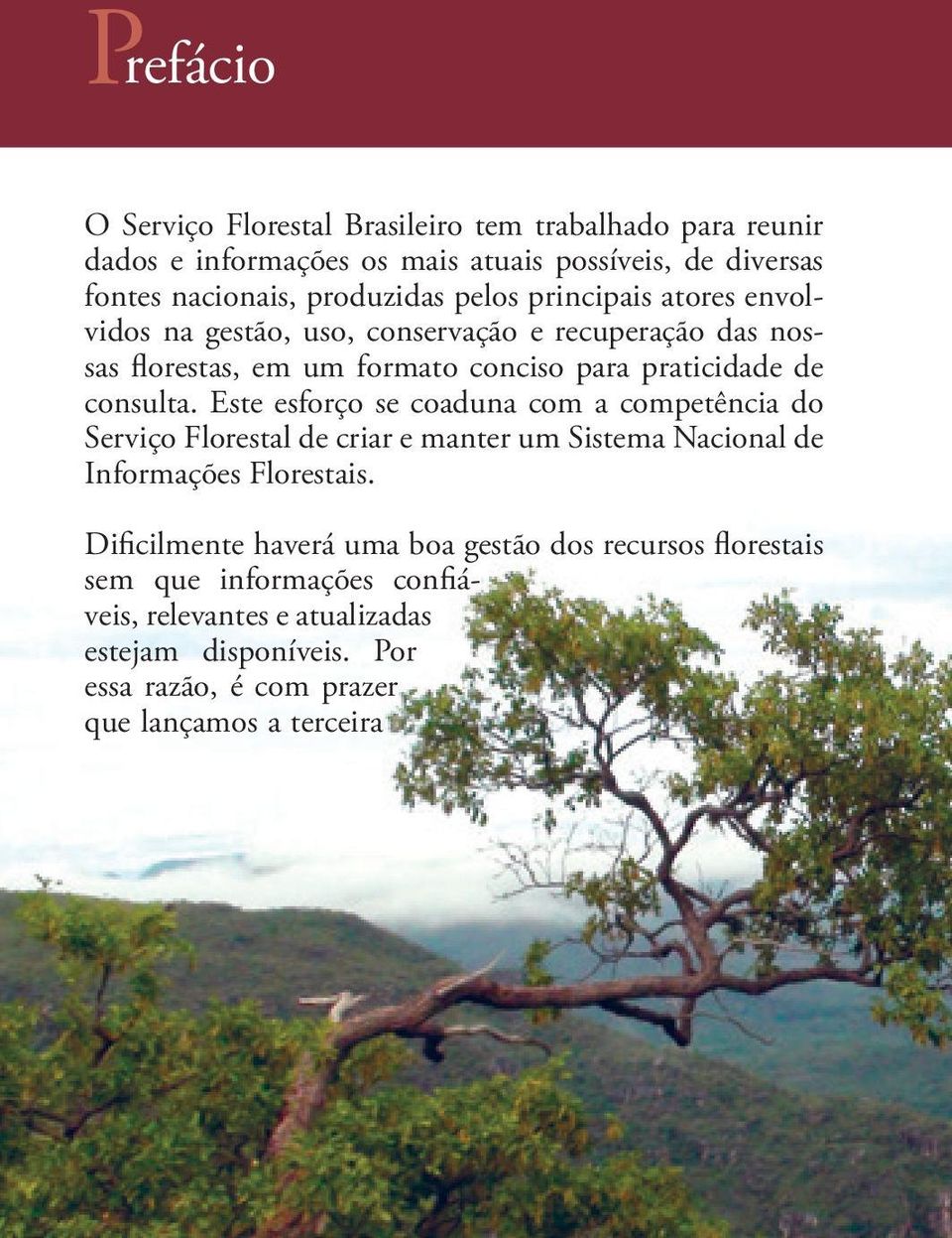 Este esforço se coaduna com a competência do Serviço Florestal de criar e manter um Sistema Nacional de Informações Florestais.