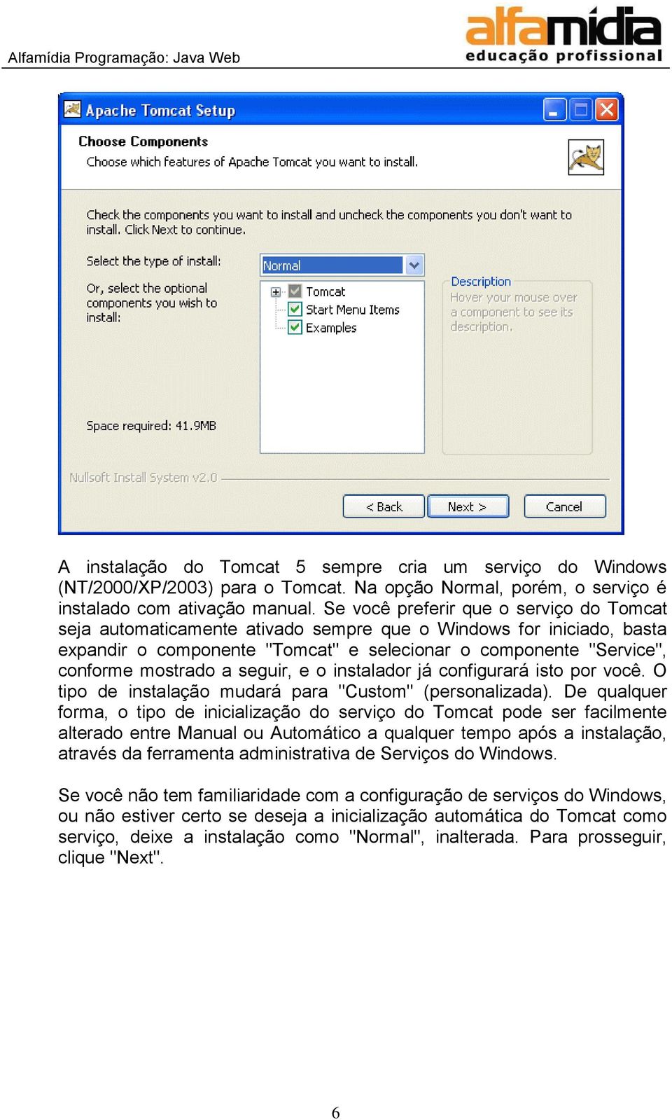 seguir, e o instalador já configurará isto por você. O tipo de instalação mudará para "Custom" (personalizada).