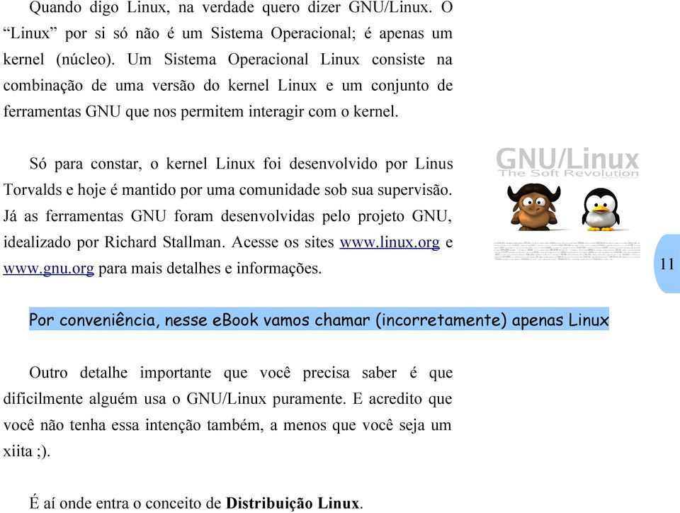 Só para constar, o kernel Linux foi desenvolvido por Linus Torvalds e hoje é mantido por uma comunidade sob sua supervisão.