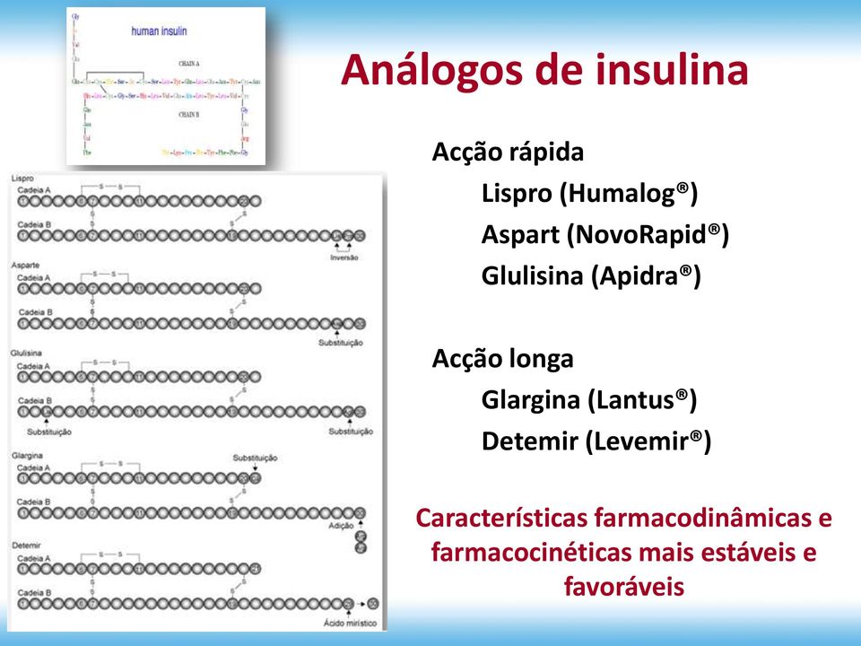 Glargina (Lantus ) Detemir (Levemir ) Características