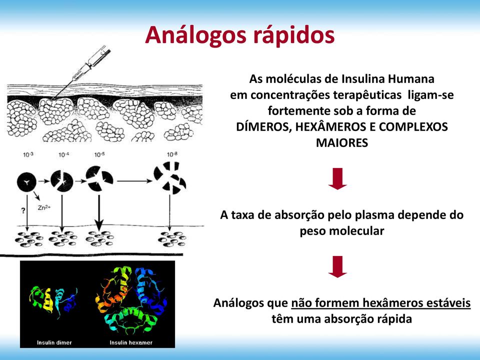 COMPLEXOS MAIORES A taxa de absorção pelo plasma depende do peso