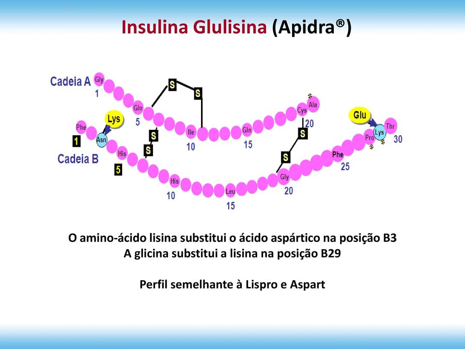 posição B3 A glicina substitui a lisina na