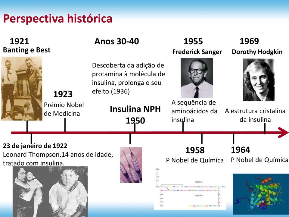 (1936) Insulina NPH 1950 A sequência de aminoácidos da insulina A estrutura cristalina da insulina 23 de