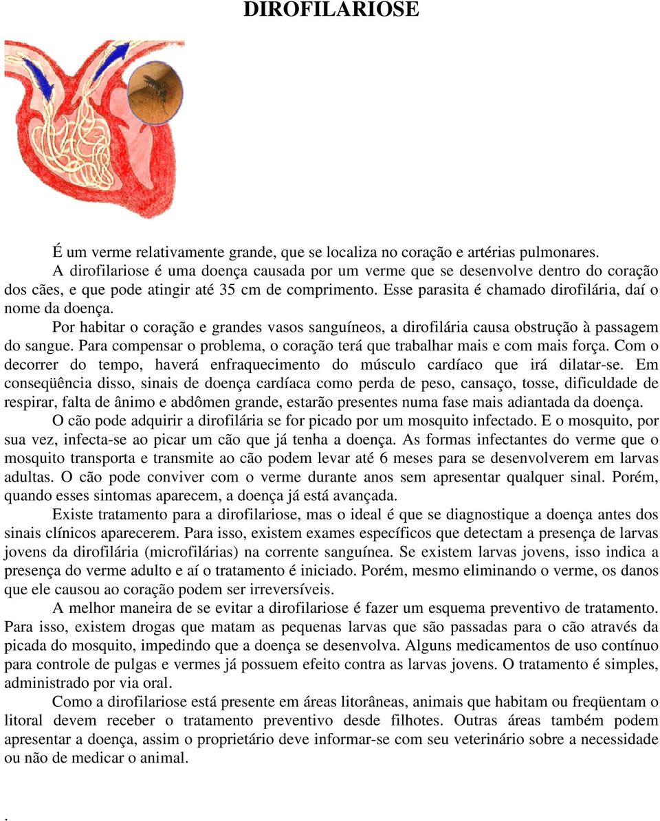 Por habitar o coração e grandes vasos sanguíneos, a dirofilária causa obstrução à passagem do sangue. Para compensar o problema, o coração terá que trabalhar mais e com mais força.