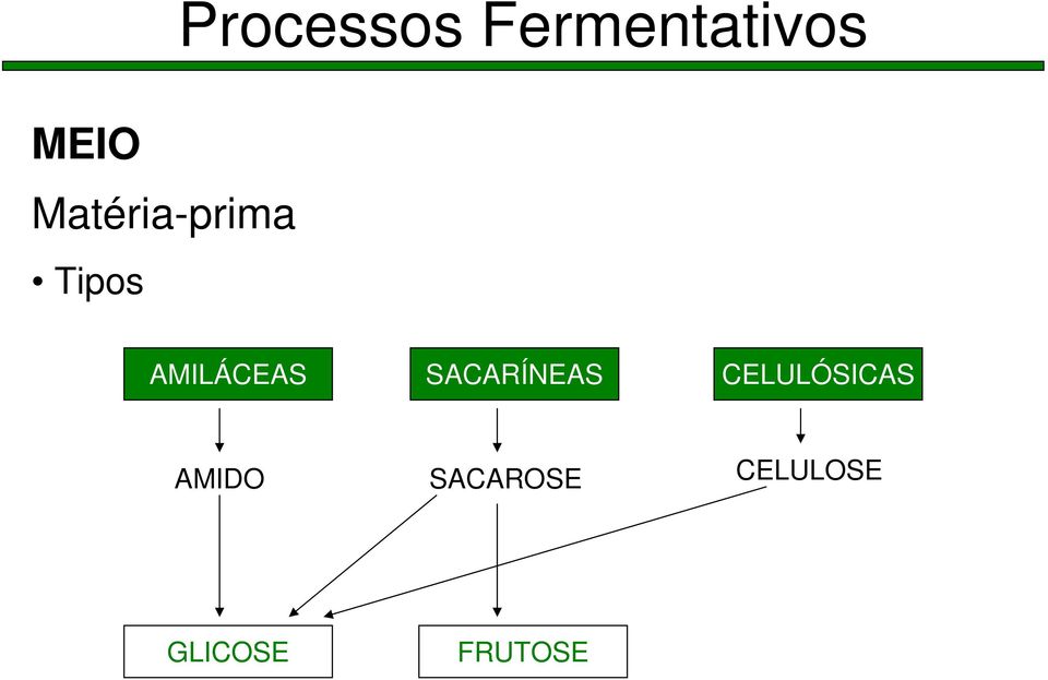 CELULÓSICAS AMIDO