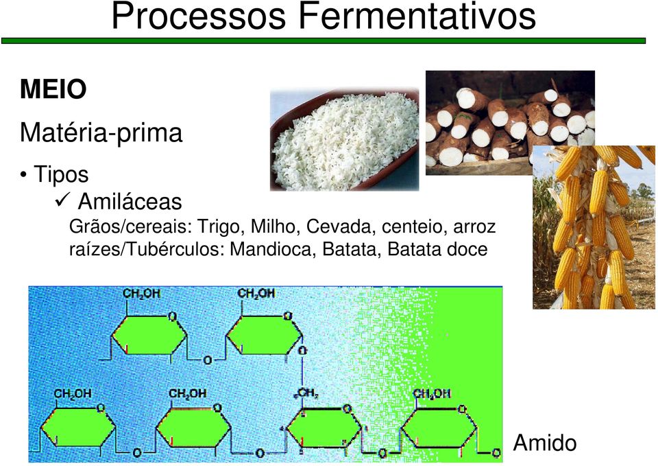 Cevada, centeio, arroz