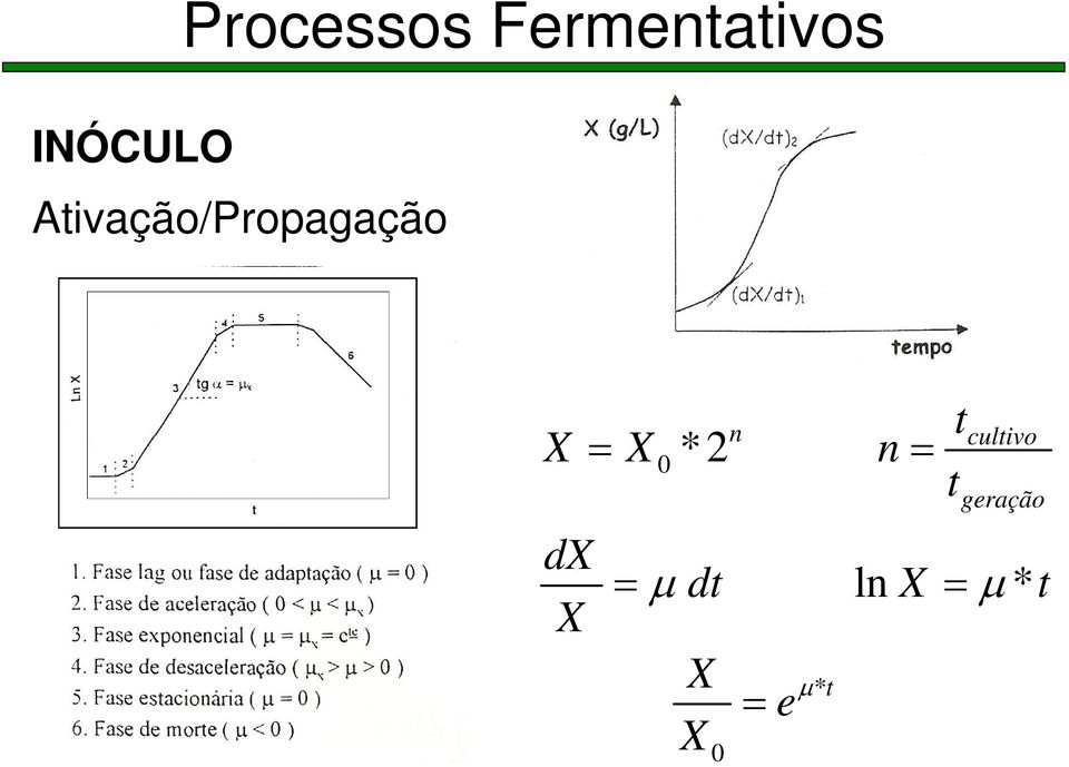 X *2 n= dx X 0 = µ dt ln