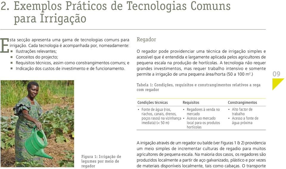 funcionamento. Regador O regador pode providenciar uma técnica de irrigação simples e acessível que é entendida e largamente aplicada pelos agricultores de pequena escala na produção de hortícolas.