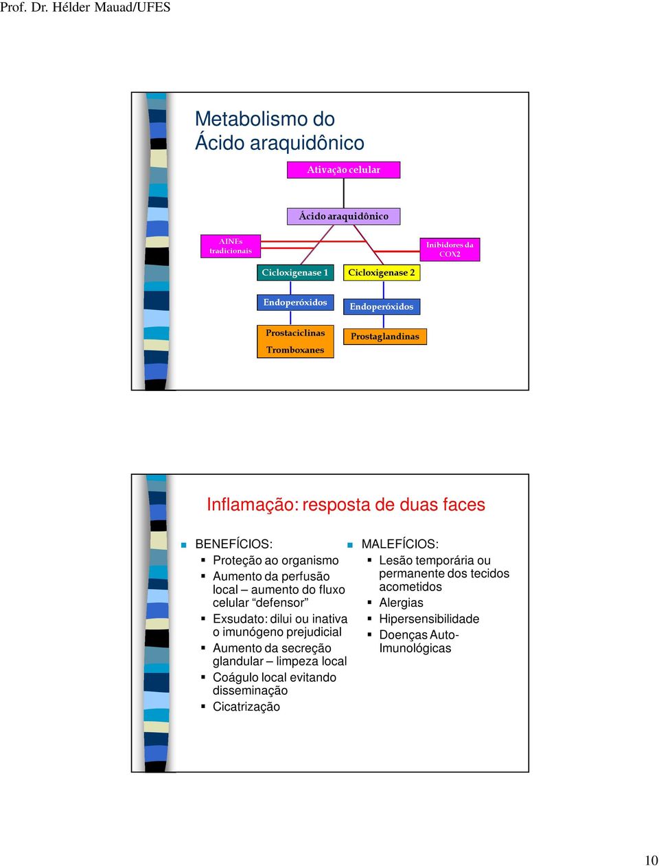 perfusão local aumento do fluxo celular defensor Exsudato: dilui ou inativa o imunógeno prejudicial Aumento da secreção glandular limpeza local Coágulo