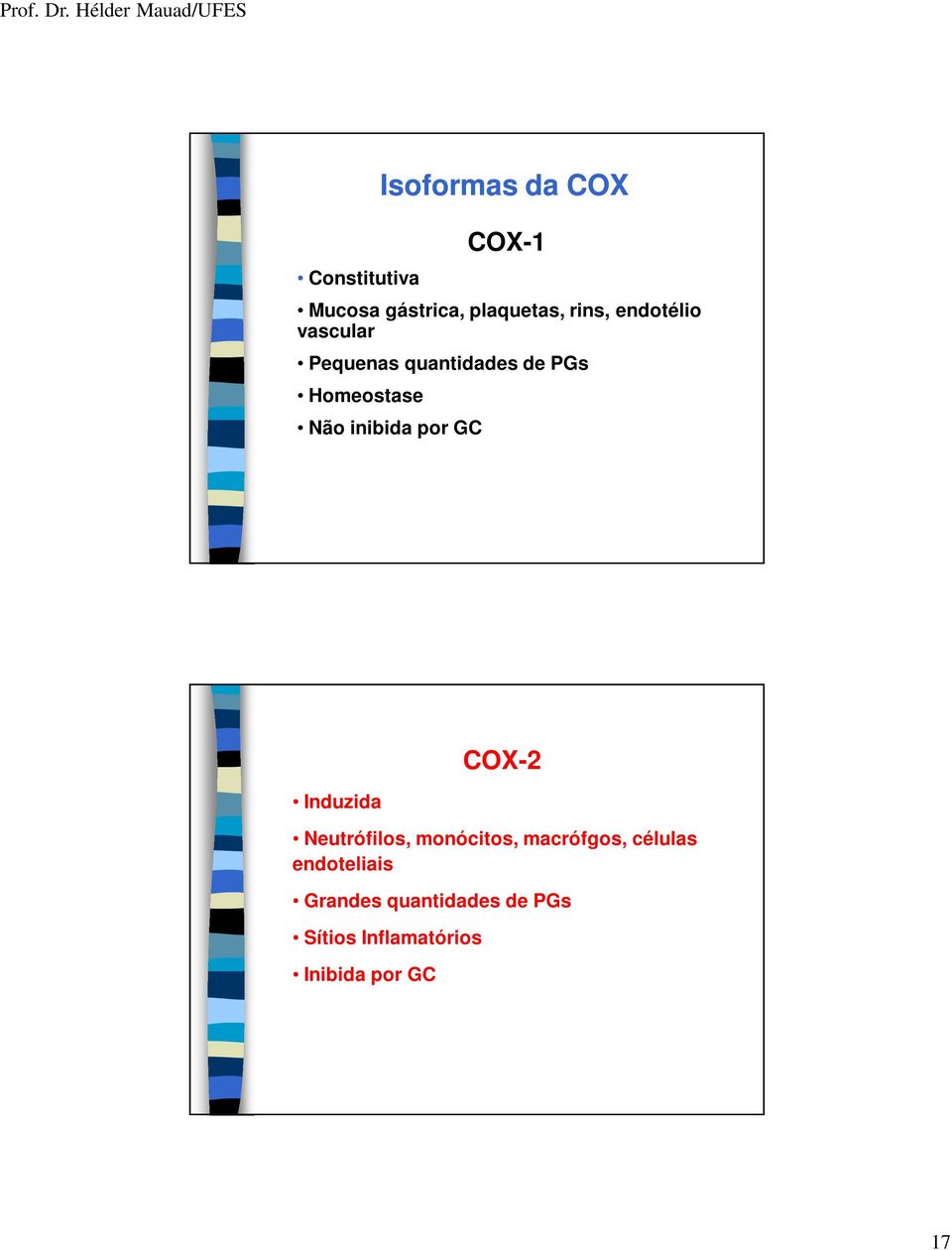 por GC Induzida COX-2 Neutrófilos, monócitos, macrófgos, células