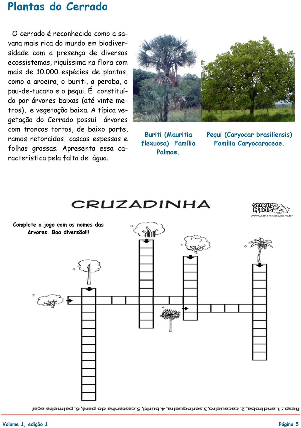 A típica vegetação do Cerrado possui árvores com troncos tortos, de baixo porte, ramos retorcidos, cascas espessas e folhas grossas.