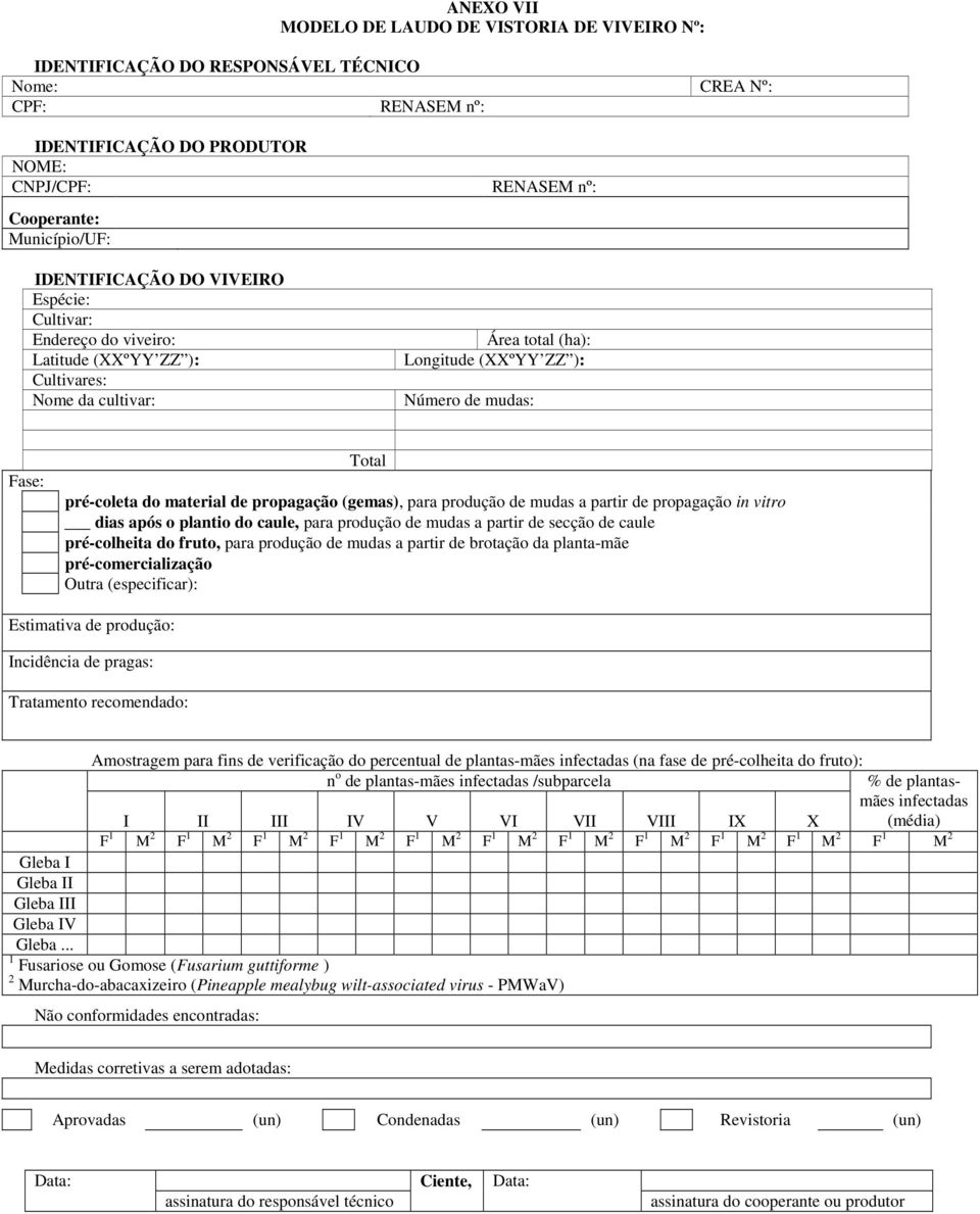 propagação in vitro dias após o plantio do caule, para produção de mudas a partir de secção de caule pré-colheita do fruto, para produção de mudas a partir de brotação da planta-mãe