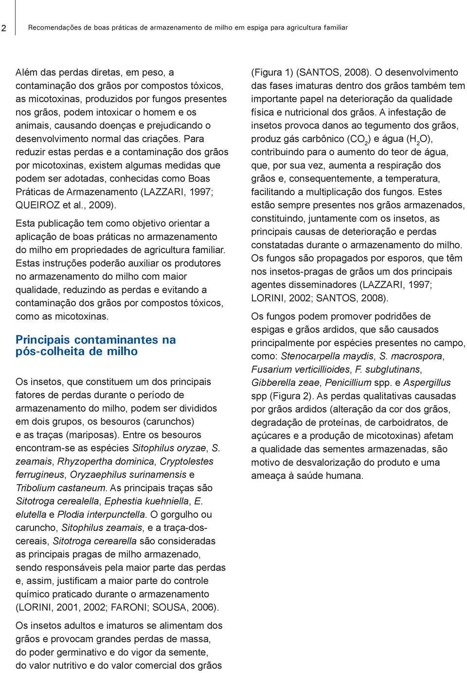 Para reduzir estas perdas e a contaminação dos grãos por micotoxinas, existem algumas medidas que podem ser adotadas, conhecidas como Boas Práticas de Armazenamento (LAZZARI, 1997; QUEIROZ et al.