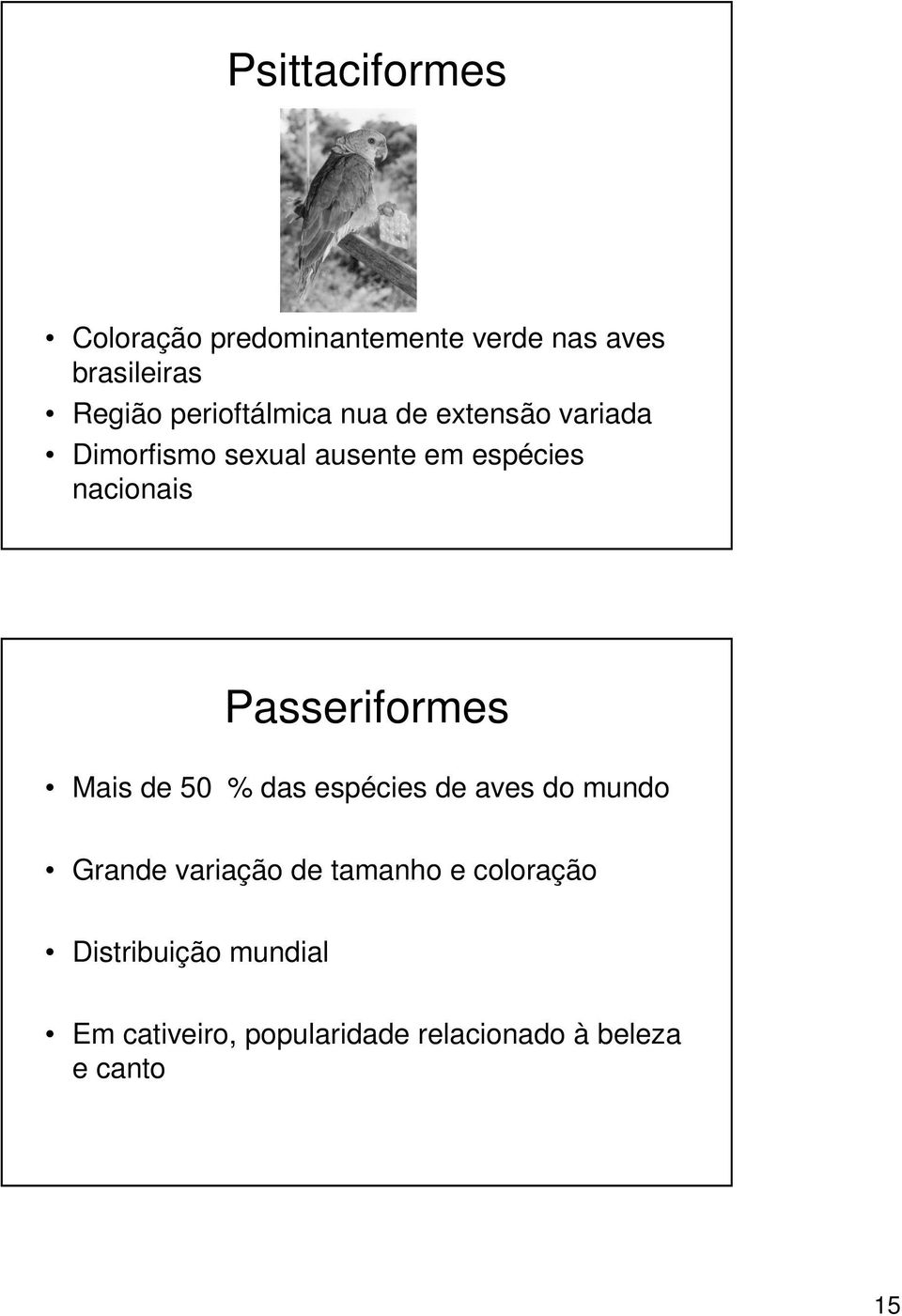 nacionais Passeriformes Mais de 50 % das espécies de aves do mundo Grande variação