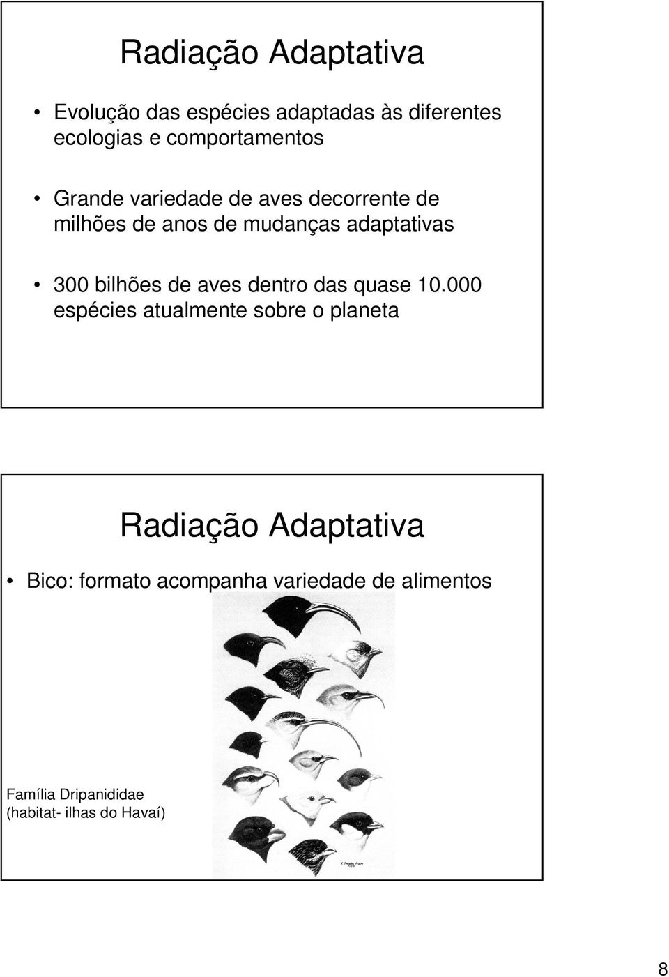 adaptativas 300 bilhões de aves dentro das quase 10.