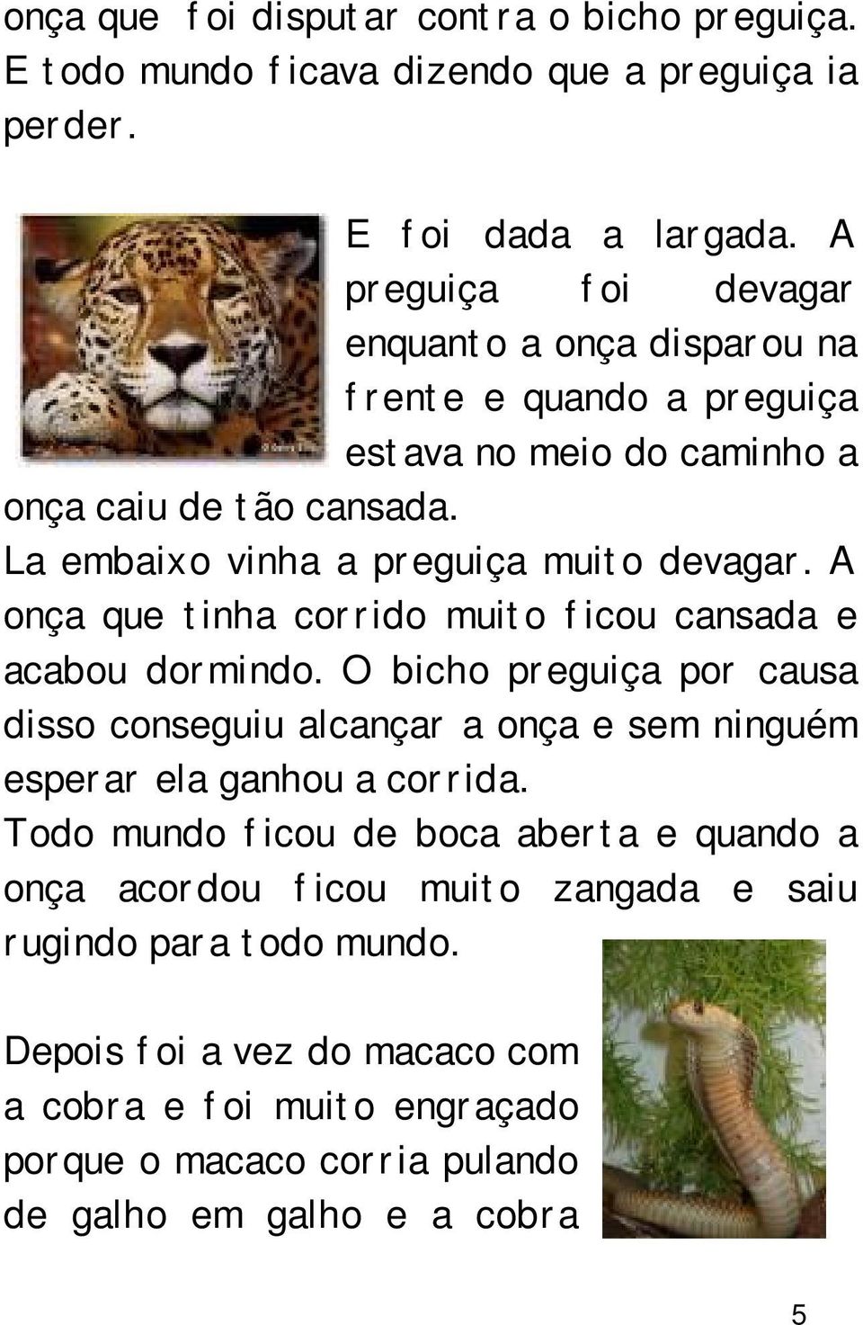 A onça que tinha corrido muito ficou cansada e acabou dormindo. O bicho preguiça por causa disso conseguiu alcançar a onça e sem ninguém esperar ela ganhou a corrida.