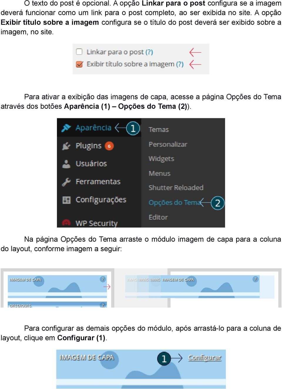 Para ativar a exibição das imagens de capa, acesse a página Opções do Tema através dos botões Aparência (1) Opções do Tema (2)).