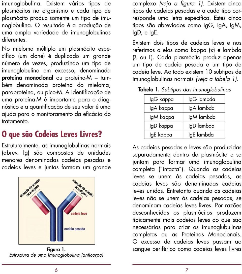 No mieloma múltiplo um plasmócito específico (um clone) é duplicado um grande número de vezes, produzindo um tipo de imunoglobulina em excesso, denominada proteína monoclonal ou proteína-m também