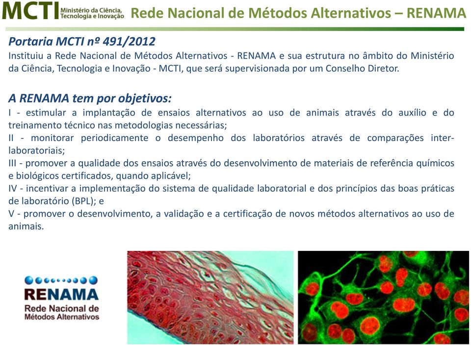 A RENAMA tem por objetivos: I - estimular a implantação de ensaios alternativos ao uso de animais através do auxílio e do treinamento técnico nas metodologias necessárias; II - monitorar