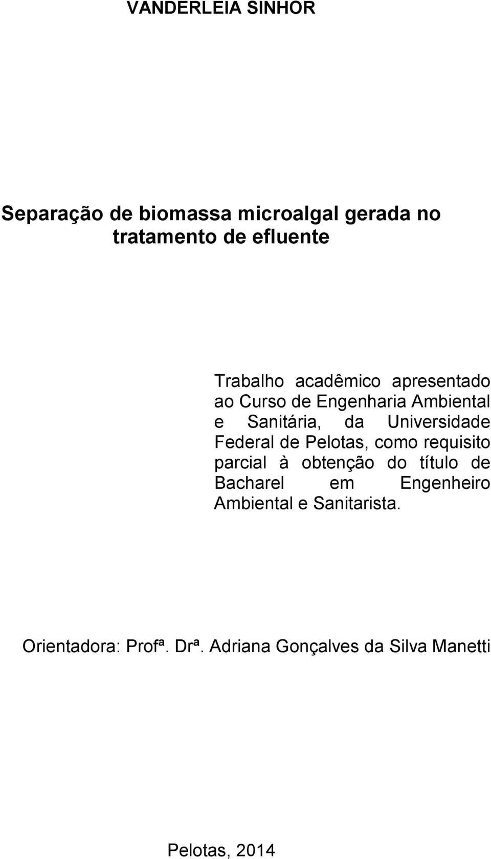 Universidade Federal de Pelotas, como requisito parcial à obtenção do título de Bacharel em
