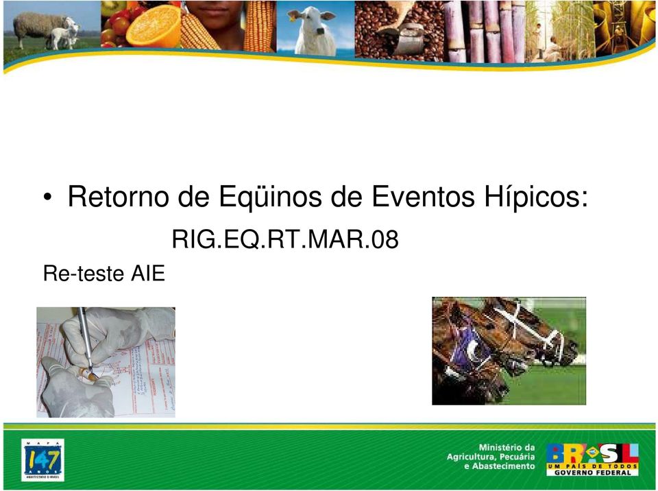 Eventos Hípicos: