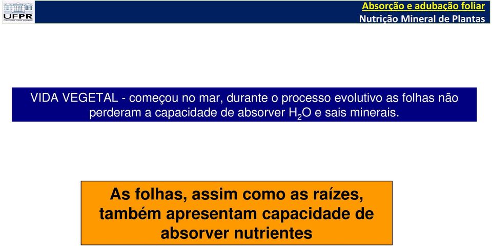 absorver H 2 O e sais minerais.