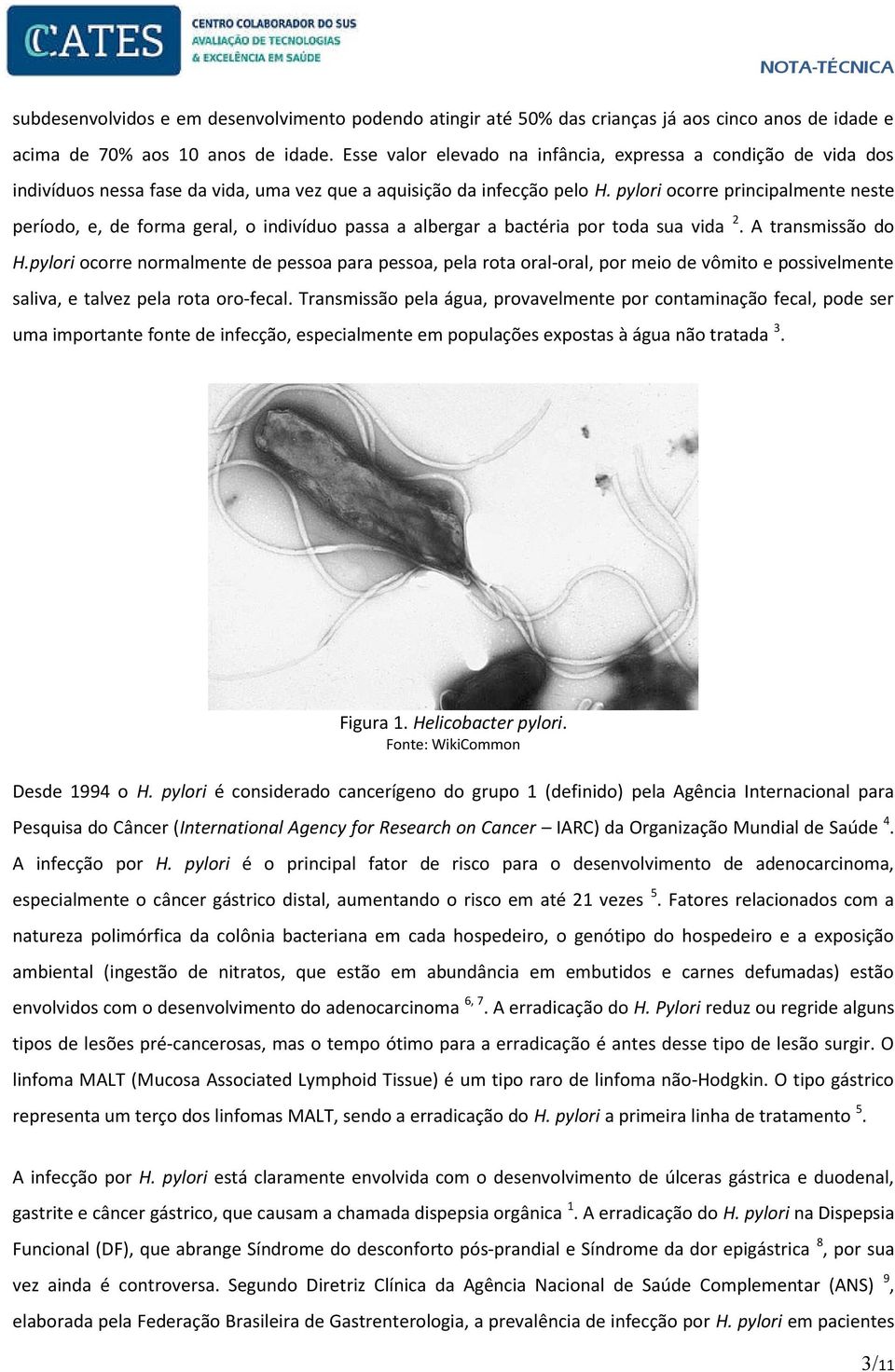 pylori ocorre principalmente neste período, e, de forma geral, o indivíduo passa a albergar a bactéria por toda sua vida 2. A transmissão do H.