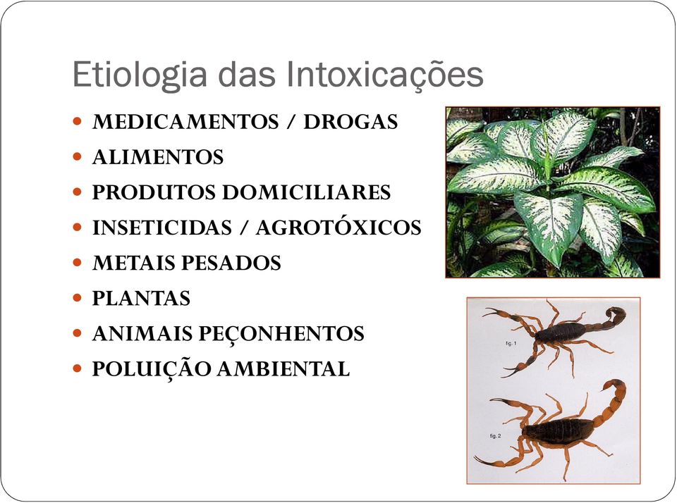 INSETICIDAS / AGROTÓXICOS METAIS PESADOS