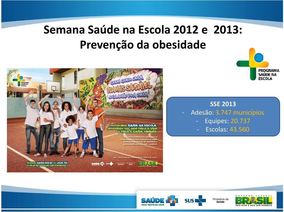 2013 SSE 2013 - Adesão: 3.