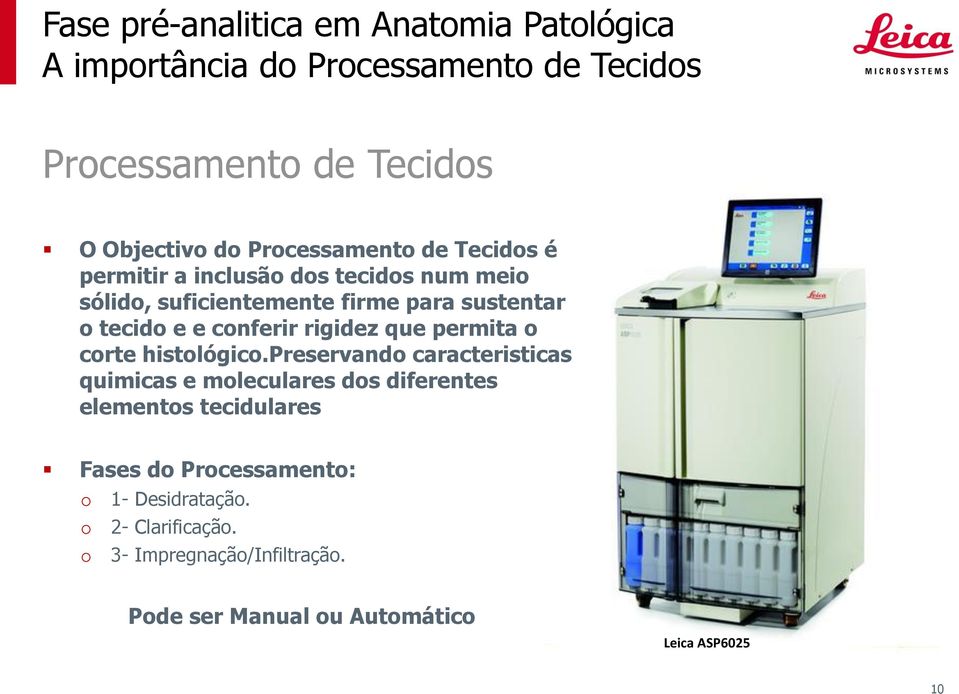 preservando caracteristicas quimicas e moleculares dos diferentes elementos tecidulares Fases do