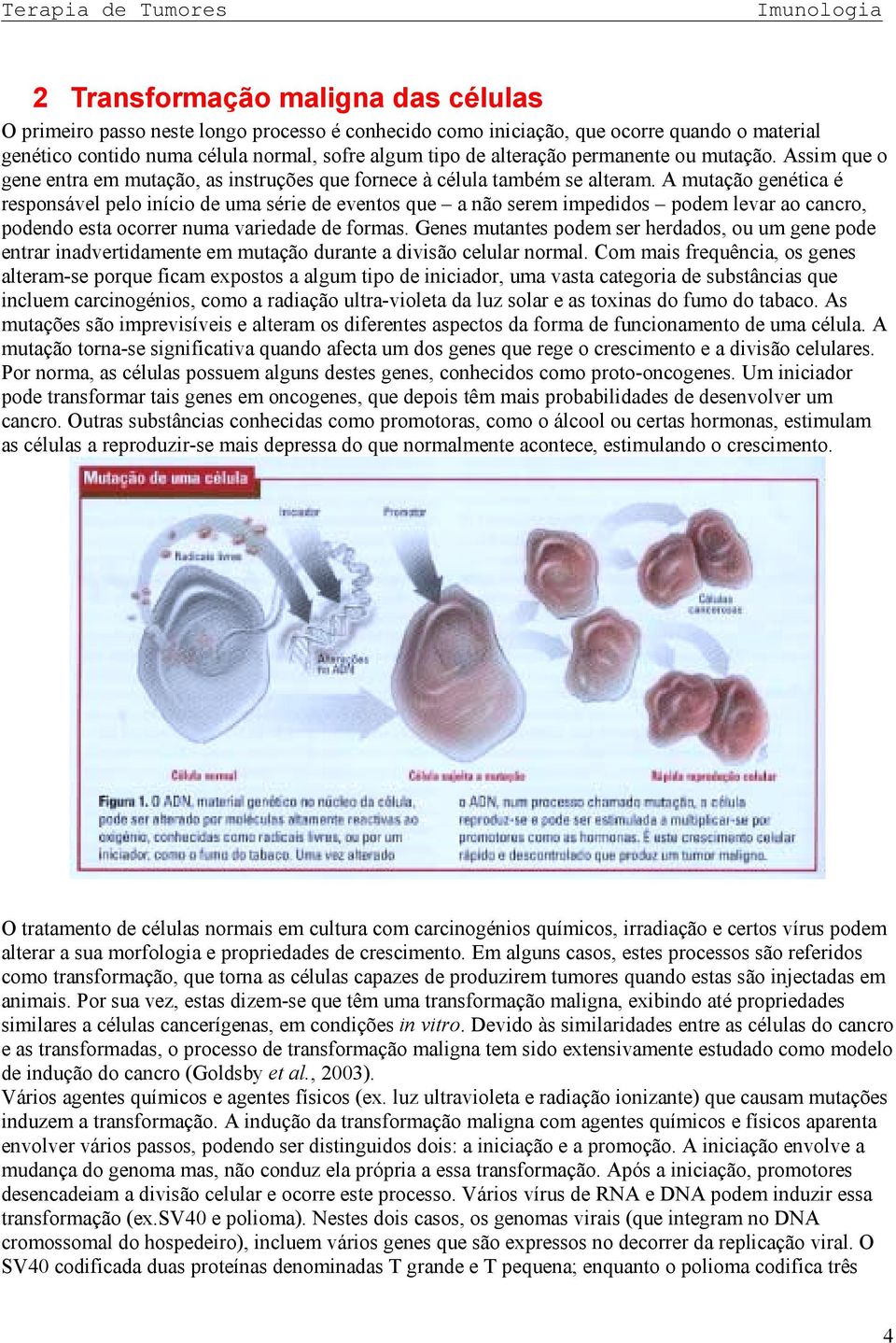 A mutação genética é responsável pelo início de uma série de eventos que a não serem impedidos podem levar ao cancro, podendo esta ocorrer numa variedade de formas.