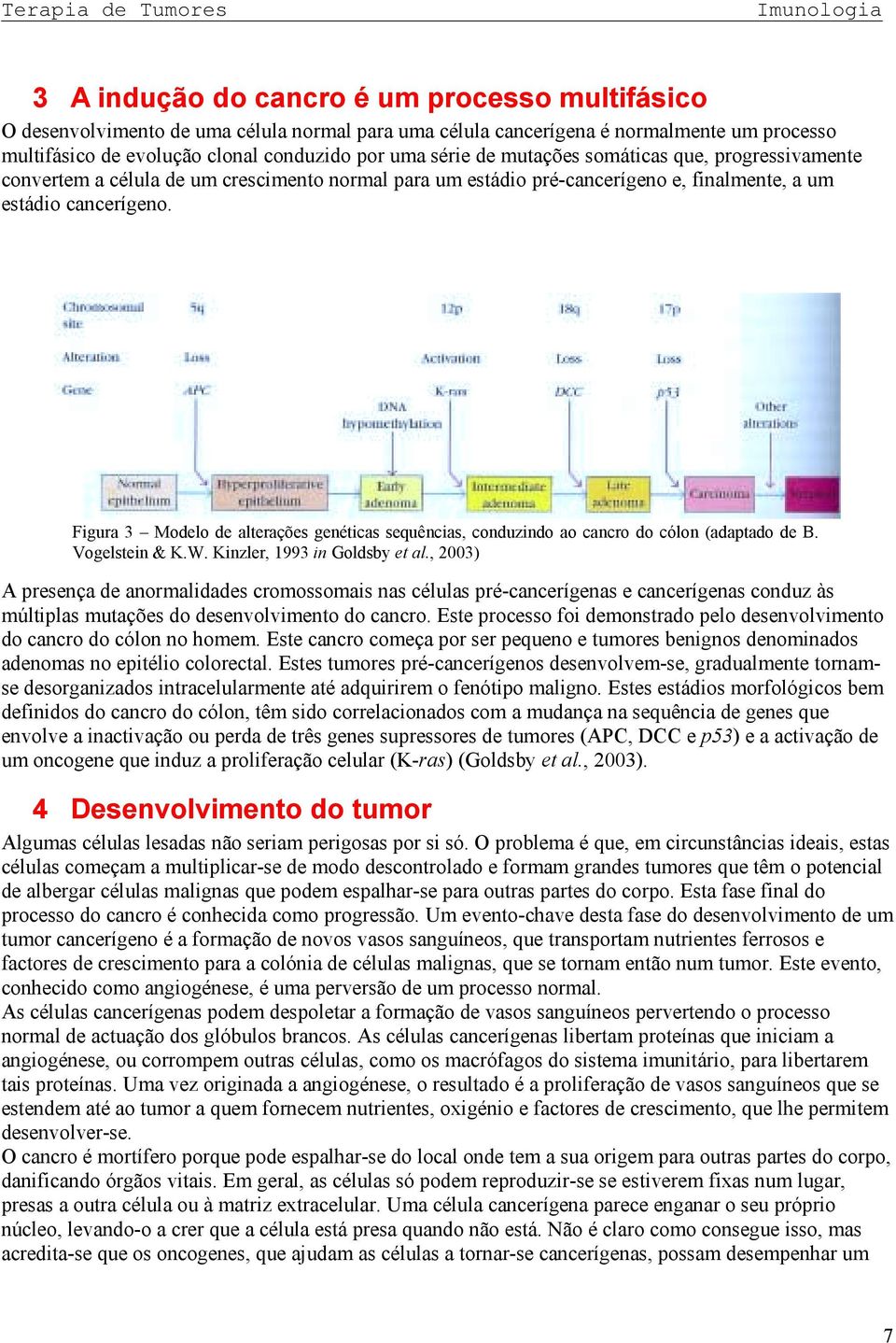 Figura 3 Modelo de alterações genéticas sequências, conduzindo ao cancro do cólon (adaptado de B. Vogelstein & K.W. Kinzler, 1993 in Goldsby et al.